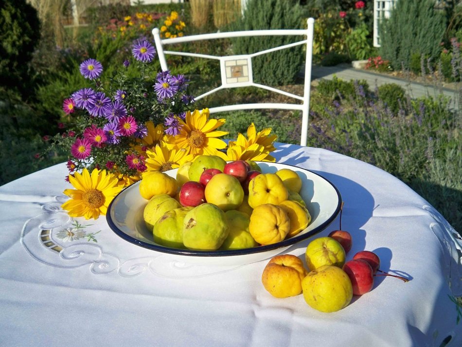 Fresh fruits on a table in the garden