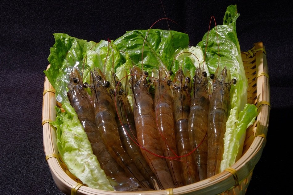 Premium Shrimp