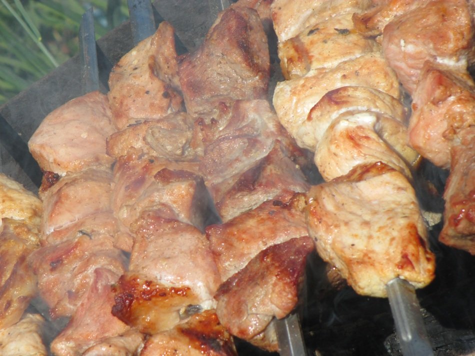 Shish Kebab on a mangal