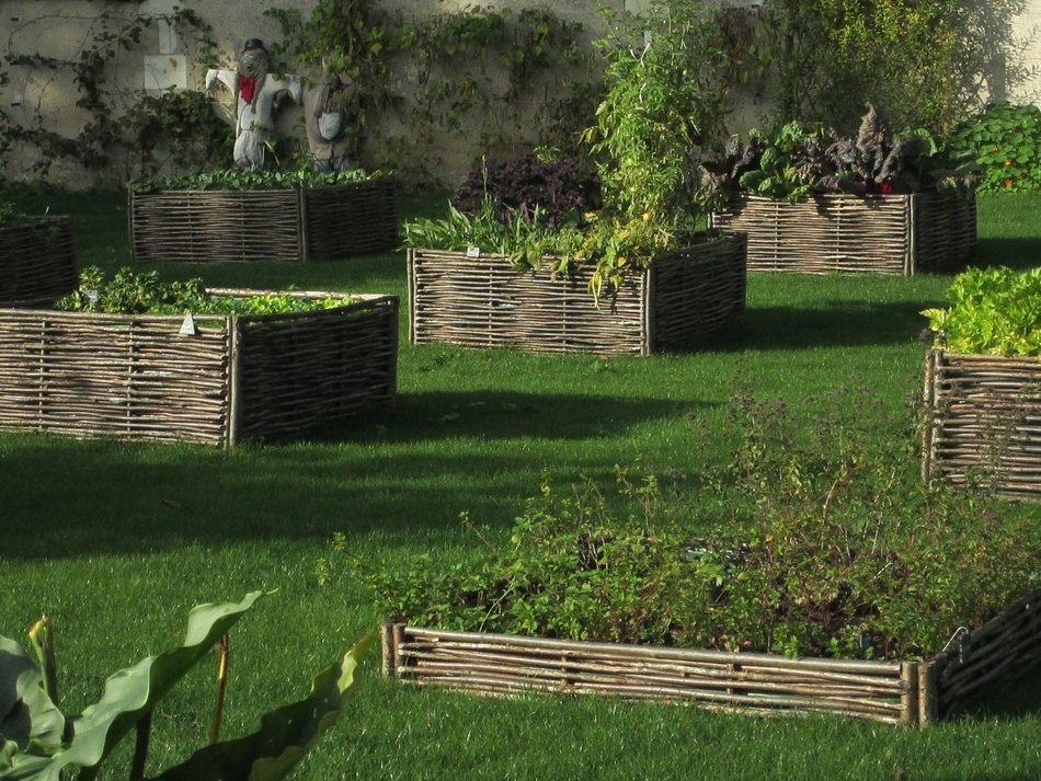 Beautiful and colorful vegetable garden in france