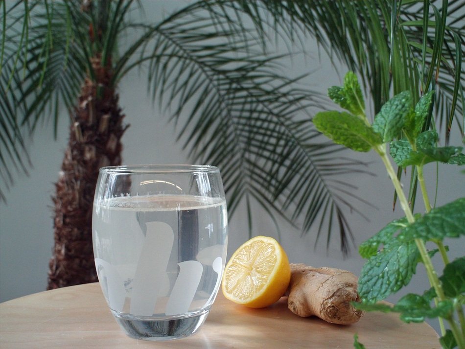 glass of water ginger and lemon