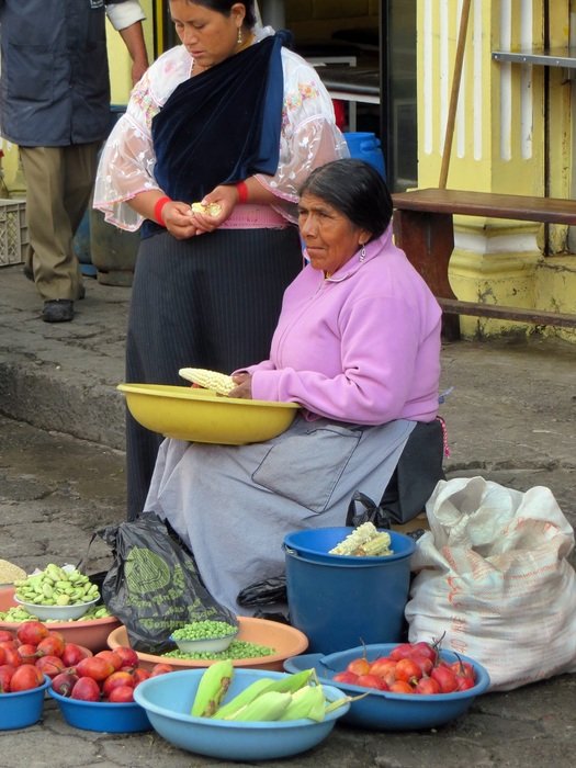 Farmers in Cuenca
