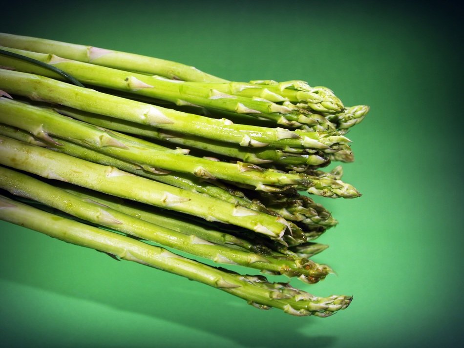 green isolated Asparagus at green gradient background
