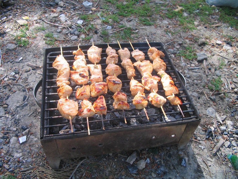 appetizing Barbecue Meal