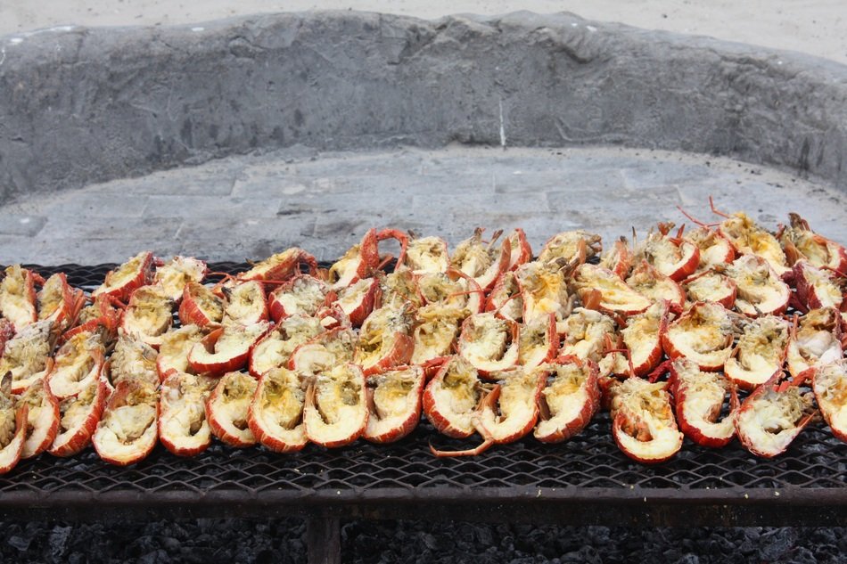Grilling lobster in South Africa