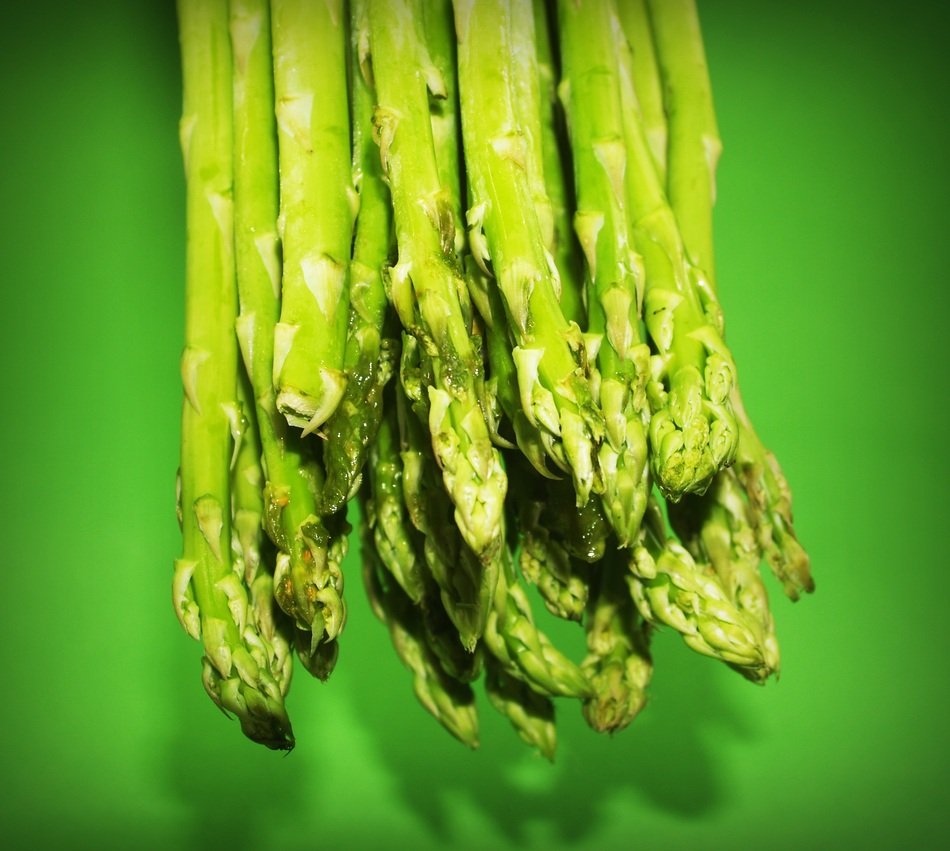 healthy asparagus on the green background