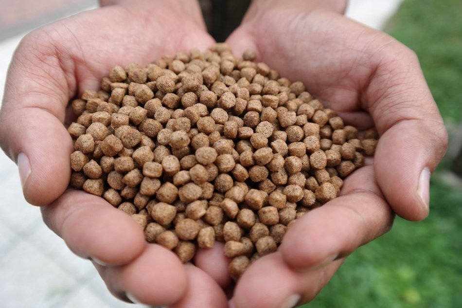 Fish Food Pellet