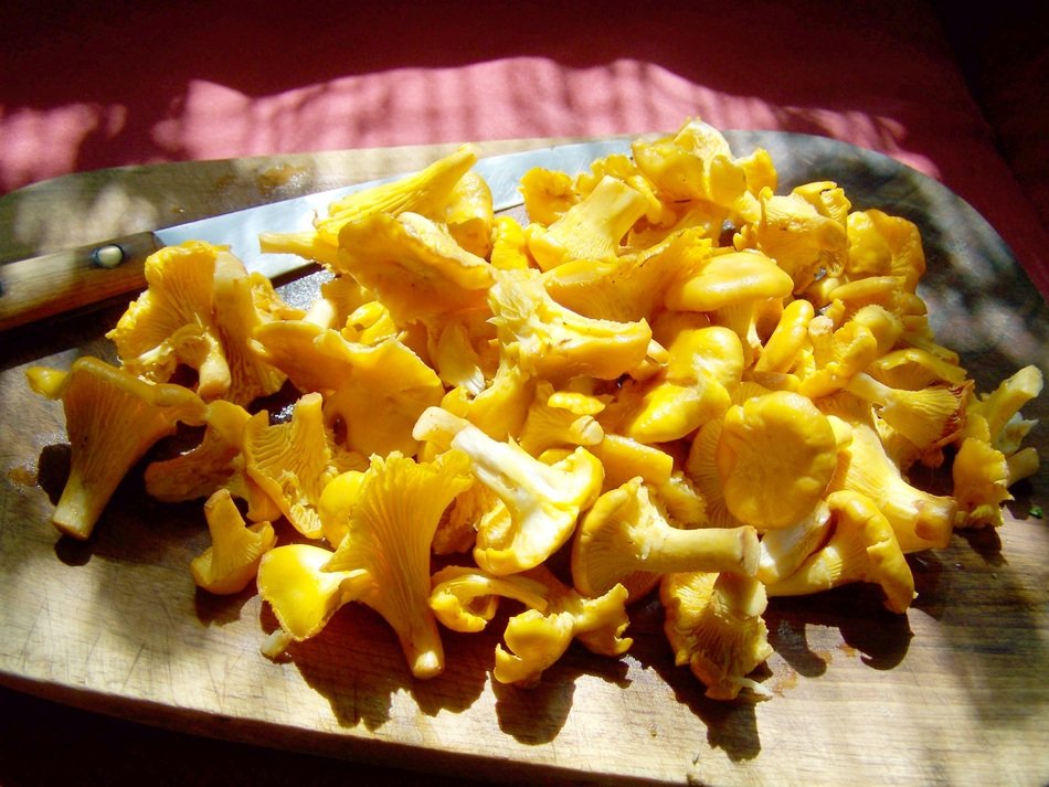 yellow mushroom for the dish