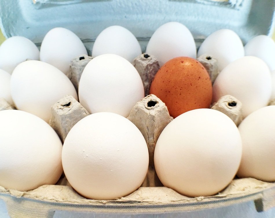 Eggs Box