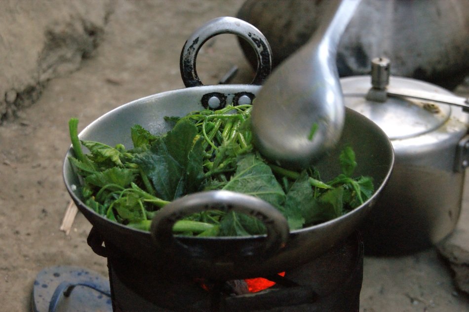 Cook Nepal Chitwan