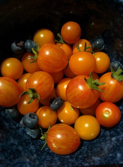 tomatoes and vegetables