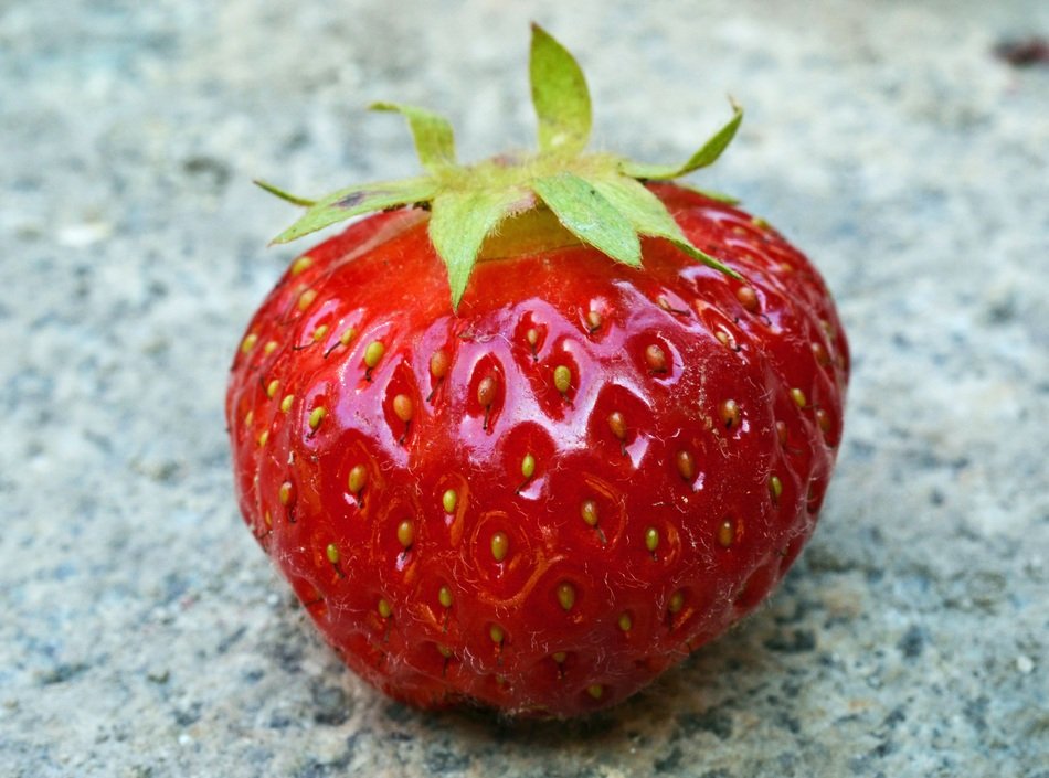 Strawberry Bio Fruit