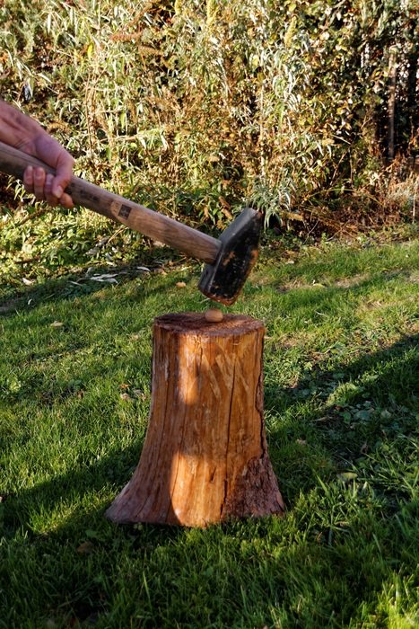 Nut Walnut Crack Food outdoor view