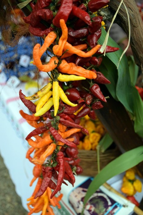 Hot Peppers as the main spice