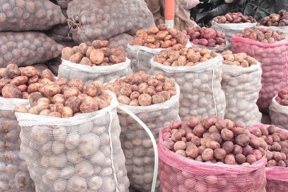 sack of potatoes