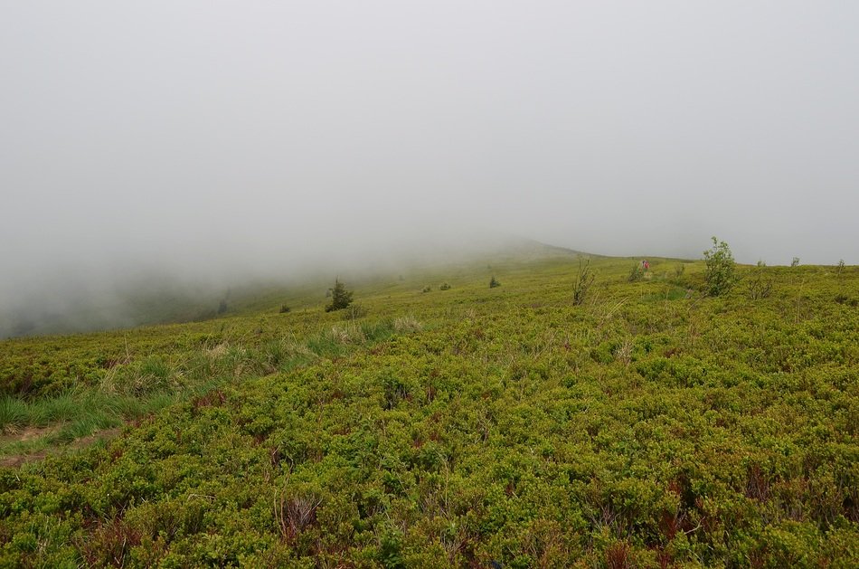 foggy highland in Poland