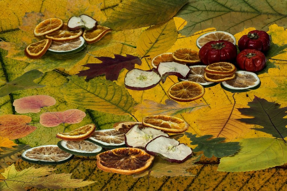 dried citrus slices on autumn leaves