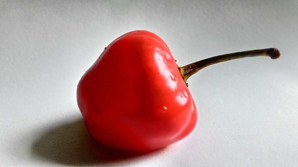 Red round Pepper