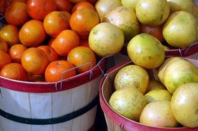 citrus fruit baskets