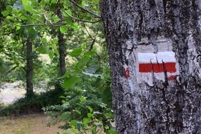 mountain path mark on the tr