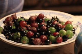 Gooseberry Plate