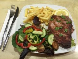 french fries and tuna with salad on a plate