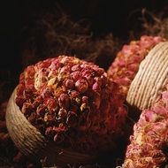 delicious Litchi Fruit