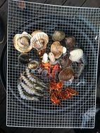 Cooking Seafood on grill