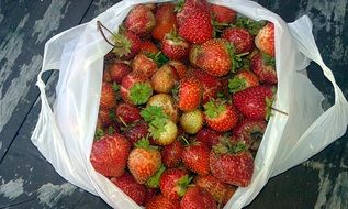 a bunch of healthy strawberries in a white package