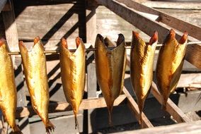 delicious Fish Smoking