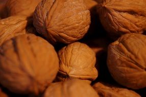 wallpaper with walnuts