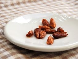 dried pepperoni