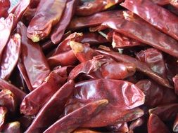 dried red pepper