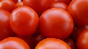 ound red tomatoes at the market