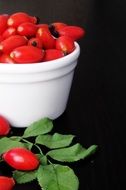 red eglantine fruits