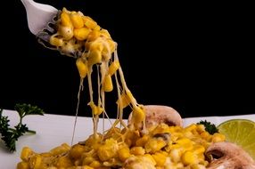Vegetarian hollycorn