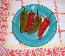 fried hot peppers in New Mexico