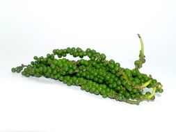 Aromatic Green Pepper