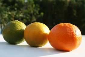 Different colors of the orange