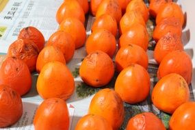 bright crop of persimmon