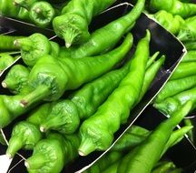 green pepper in a supermarket in japan