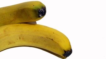 yellow Banana tropical Fruit close