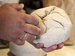 the dough in the hands of the cook