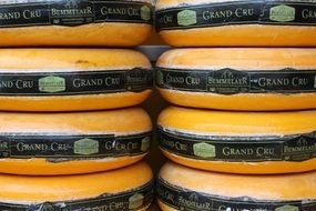 cheese bars in holland