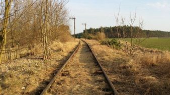 View of the tracks,field and the forest in the summer