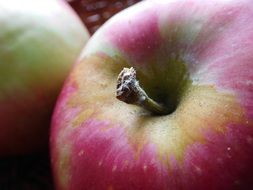 Close-up of the two ripe shining apples