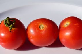 Tomatoes Plate