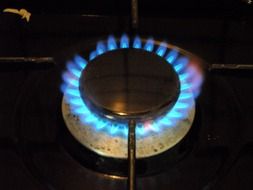 Gas Stove