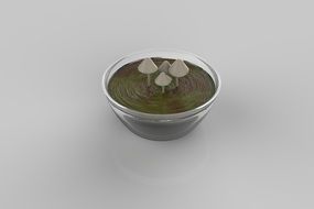 Decoration with the mushrooms