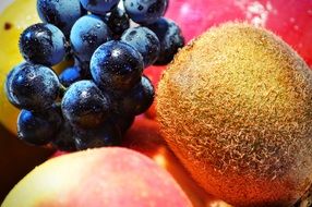 Grape and Kiwi and Apple